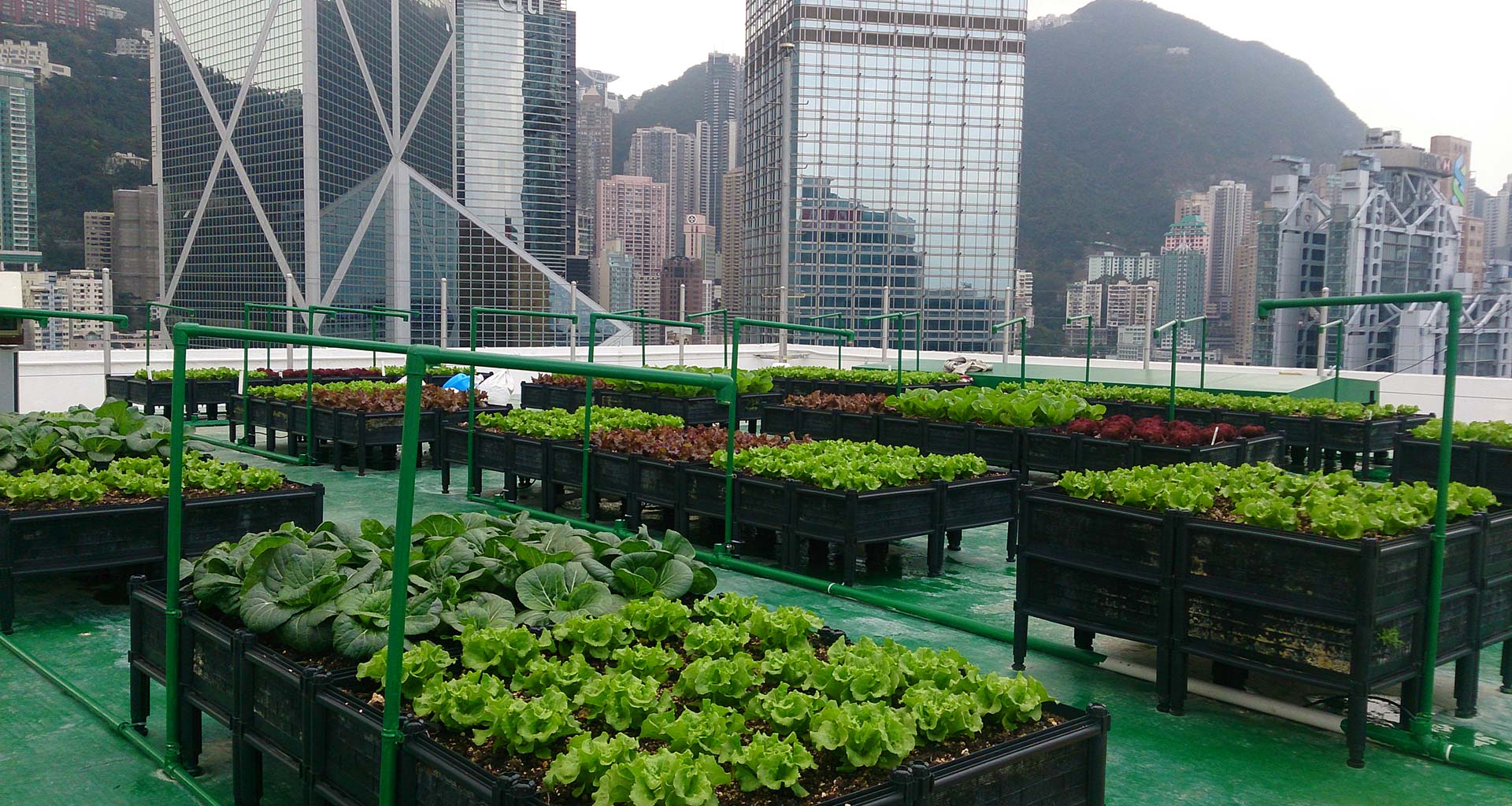 RIOCOCO ROOFTOP GARDENING