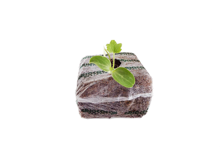 Coir Substrate Grow Bags for Hydroponics Crops - Growing Strawberries ...