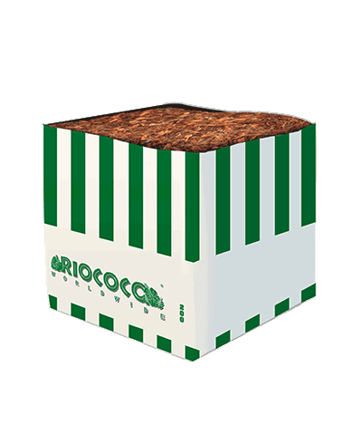 RIOCOCO 200