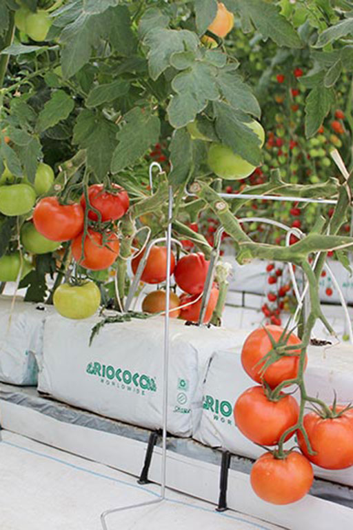 COCO COIR GROW BAG 300 gallery image 1