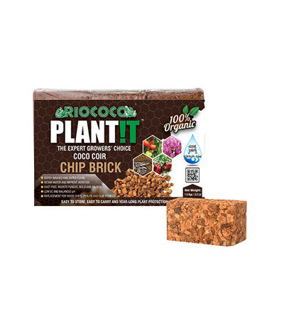 Coir Bricks