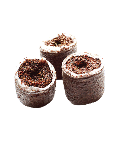 Coir Propagation