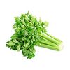 celery 1 1