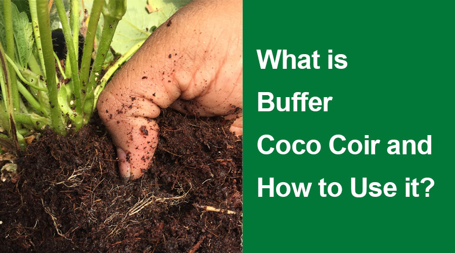 what is buffer coco coir and how to use it